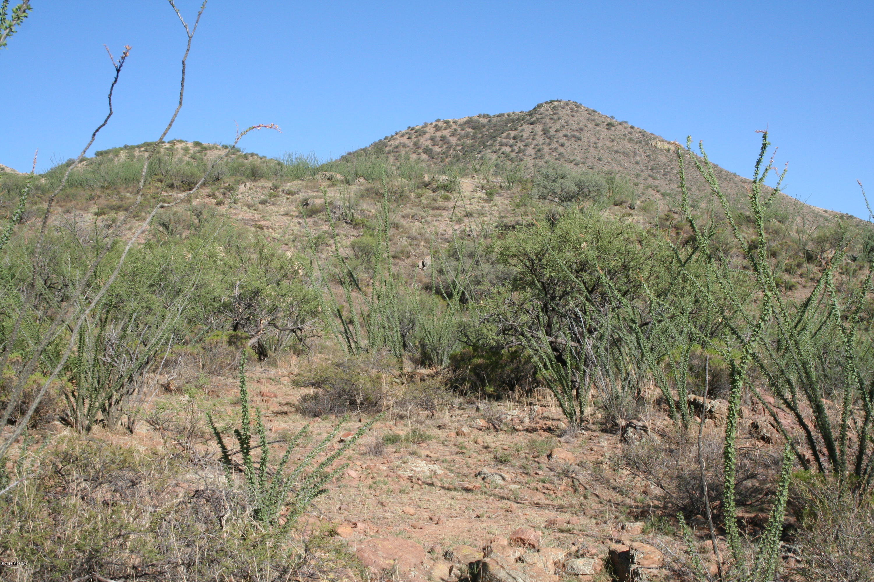 37 Copper Canyon Road, Unit 140 Rio Rico, AZ 85648 - Photo 15 of 17 IMG_9486