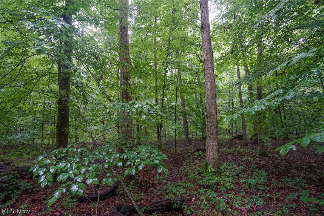 Duncanson Road Sardinia, OH 45171 - Photo 16 of 50 Gallery Image 16