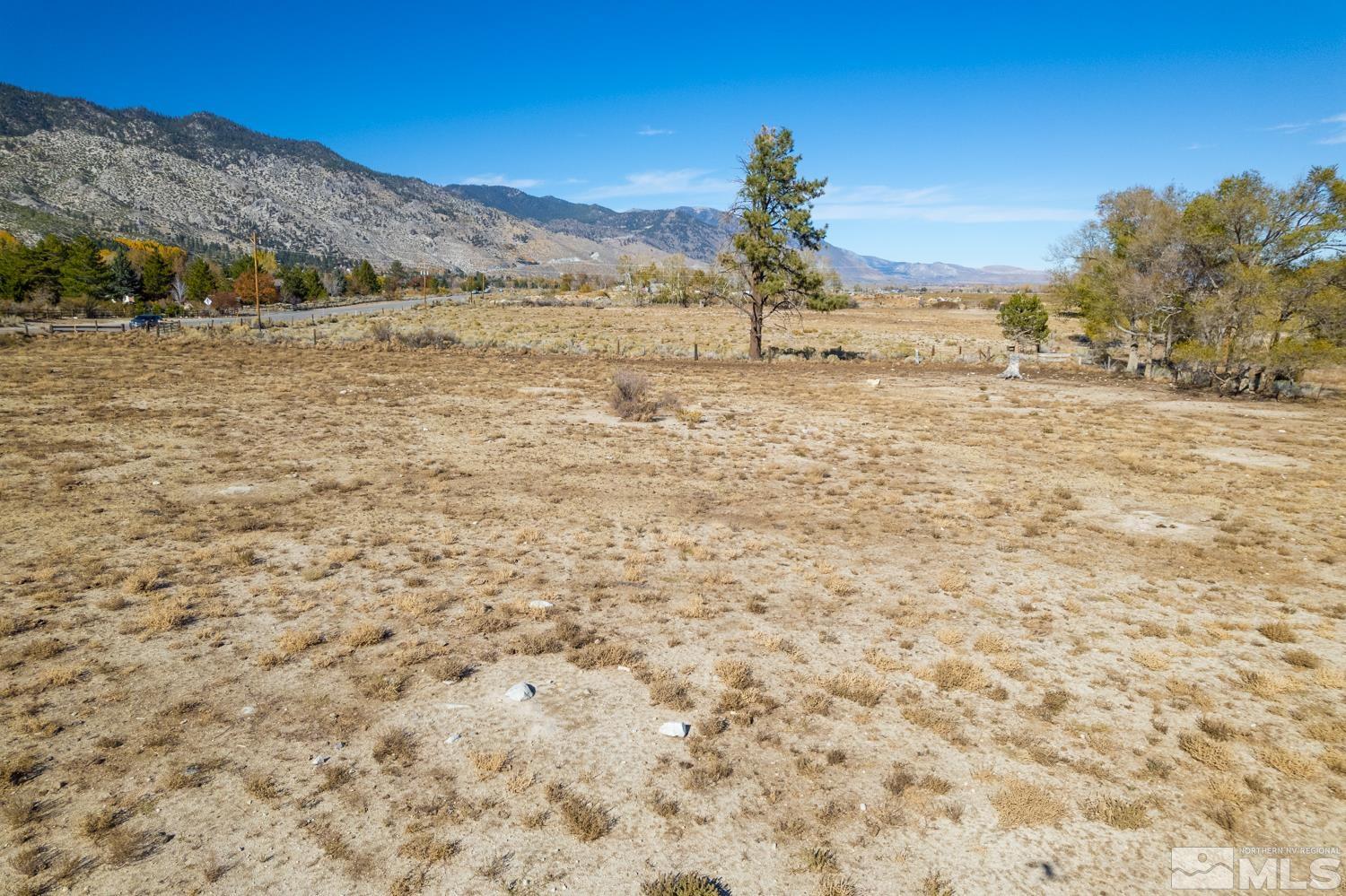 1051 Foothill Road Gardnerville, NV 89460 - Photo 8 of 30 Photo 8