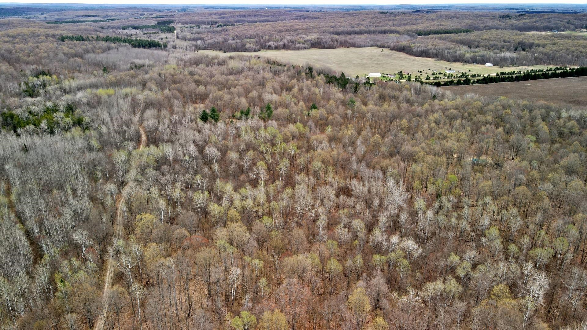 333 West Johnson Road Manton, MI 49663 - Photo 6 of 31