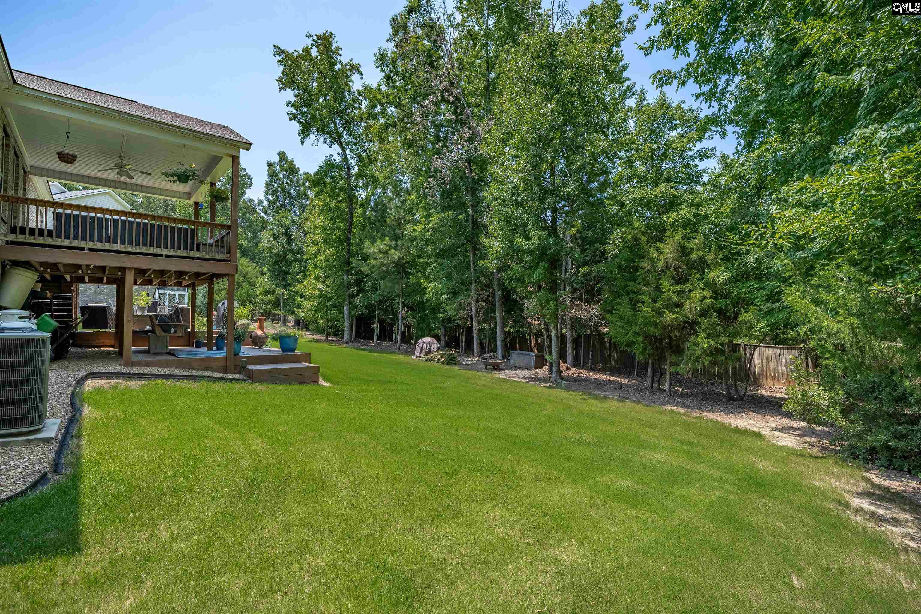 238 Hilton View Court Chapin, SC 29036 - Photo 46 of 63