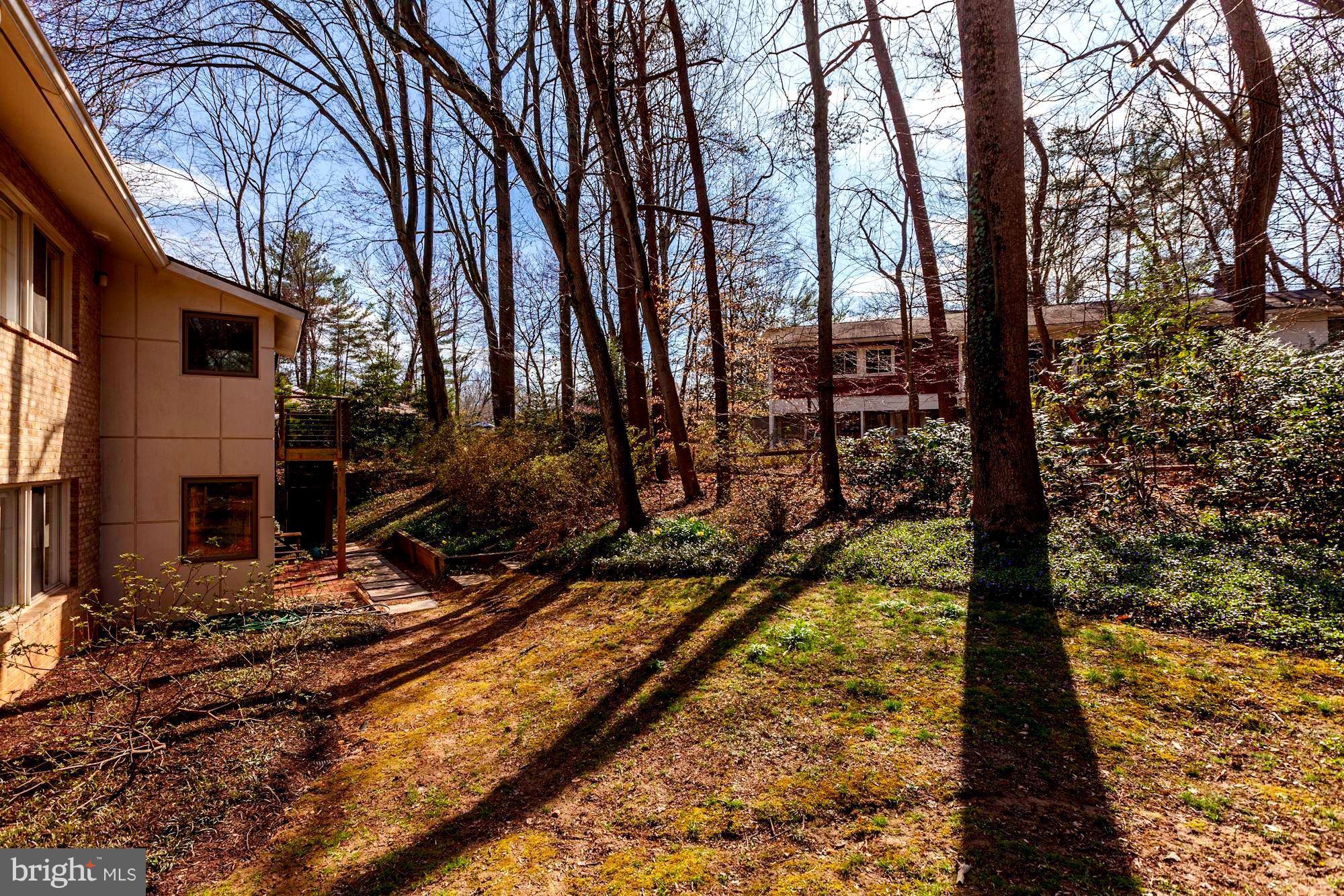 7904 Hamilton Spring Road Bethesda, MD 20817 - Photo 27 of 30 Lovely rear yard is ideal for play