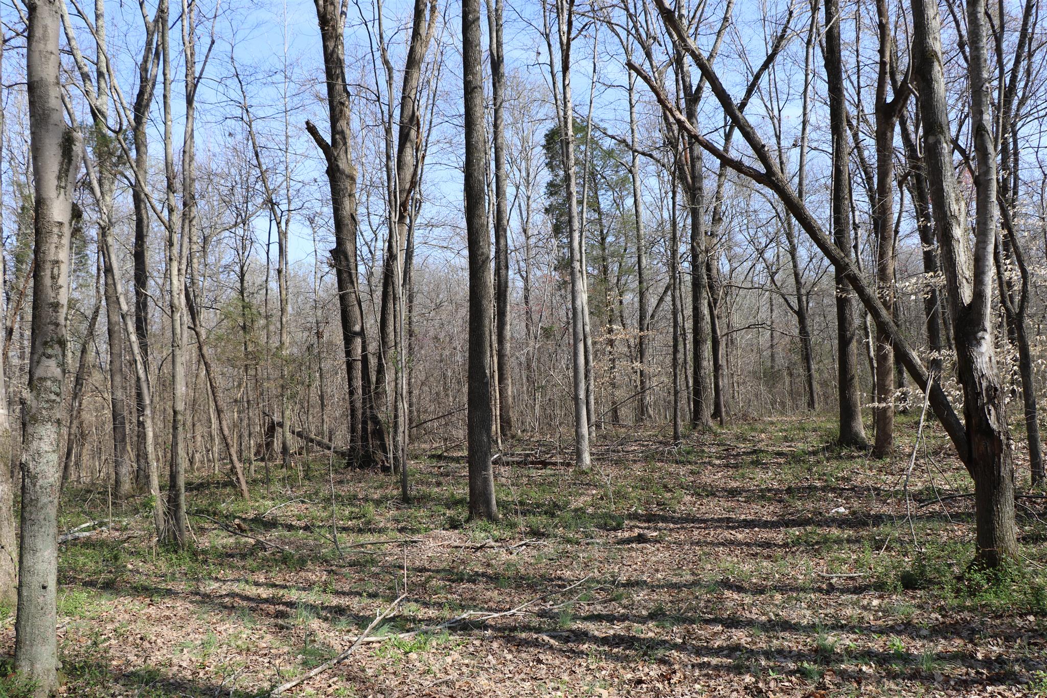 2128 Ross Road Cedar Hill, TN 37032 - Photo 9 of 15 Gallery Image 9