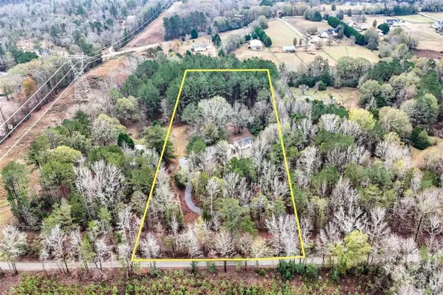 a view of a garden with plants