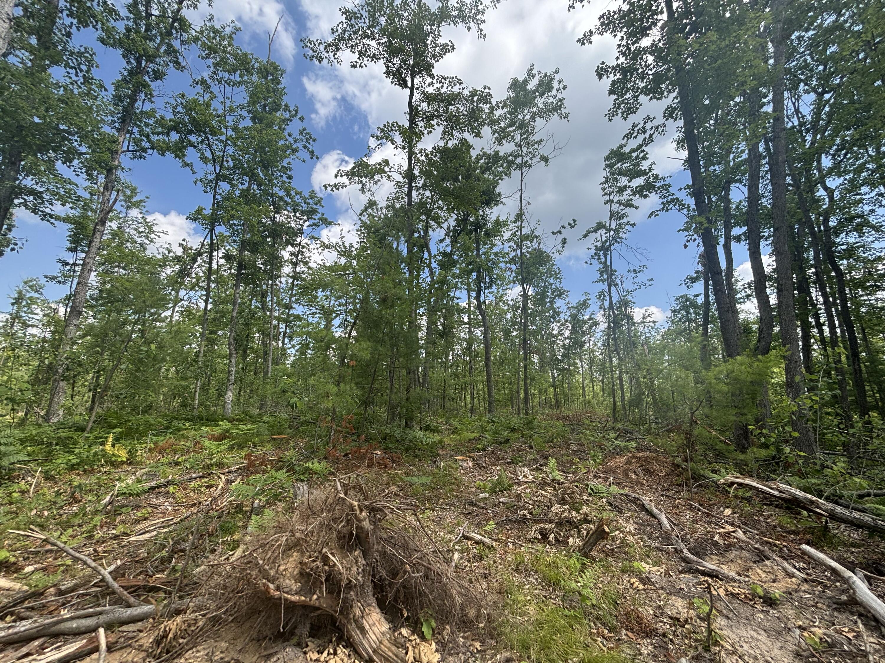 10.83 A Meridian Line Road Johannesburg, MI 49751 - Photo 11 of 21 IMG_8258_2