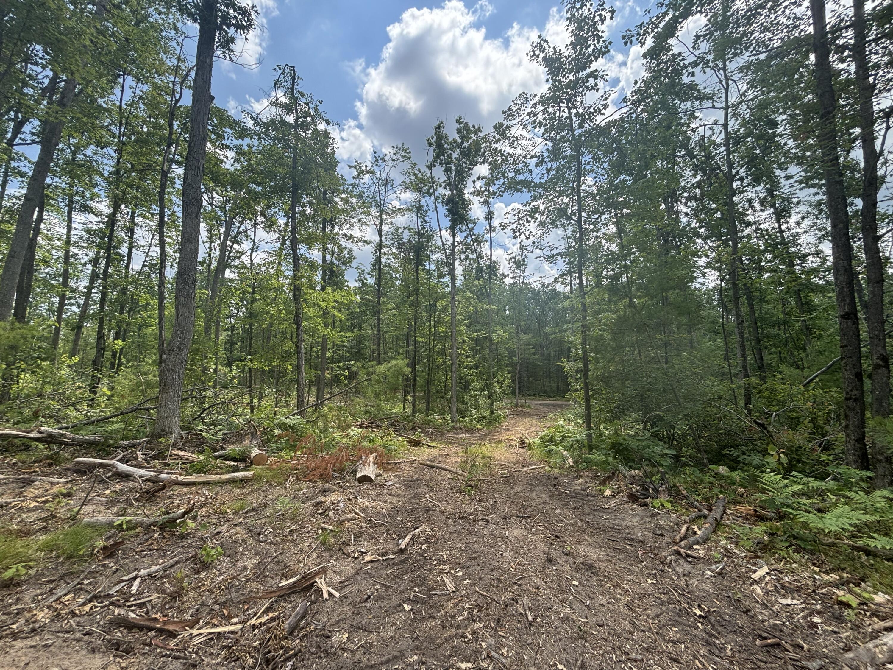10.83 A Meridian Line Road Johannesburg, MI 49751 - Photo 12 of 21 IMG_8261_2