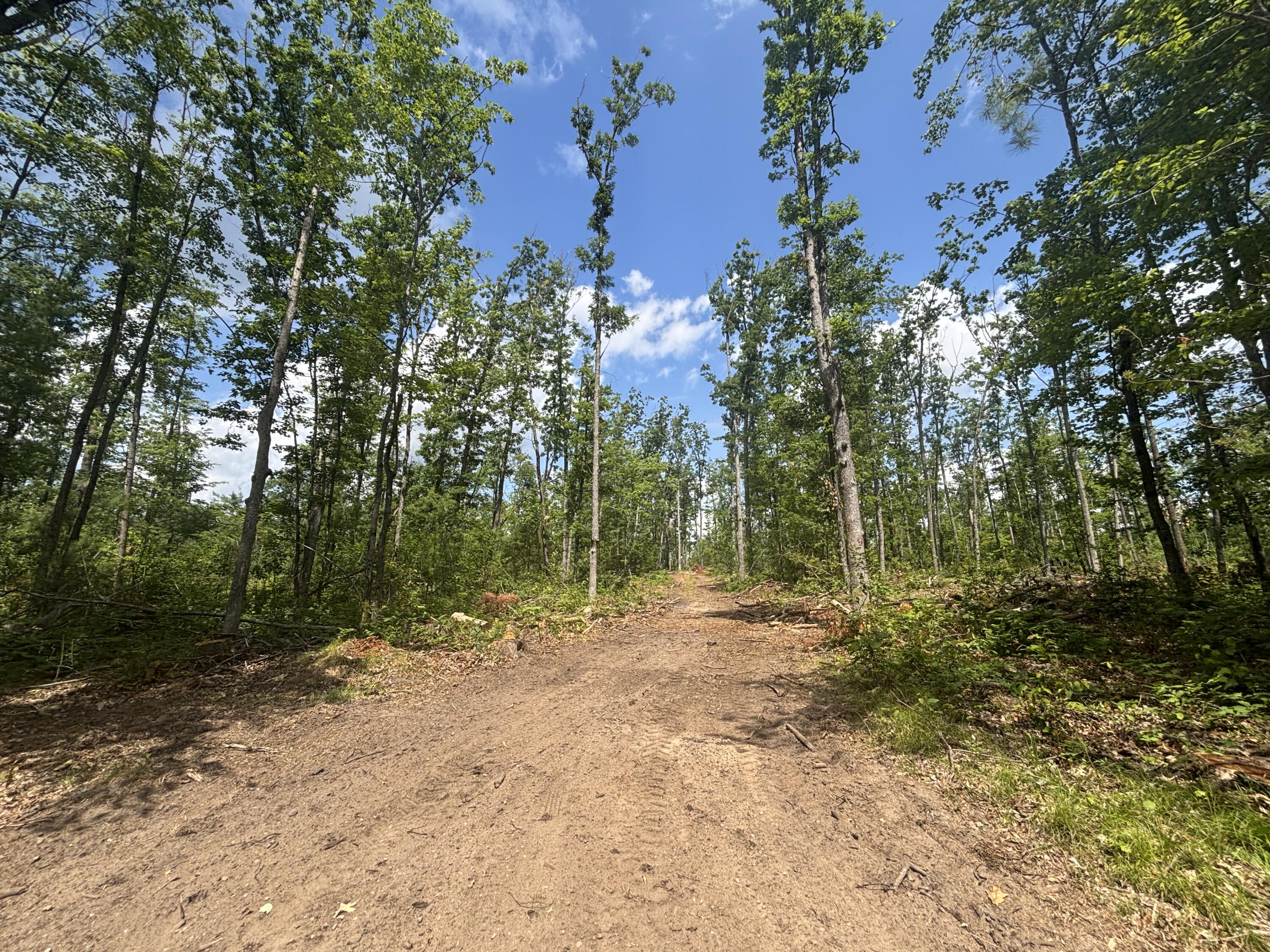 10.83 A Meridian Line Road Johannesburg, MI 49751 - Photo 16 of 21 IMG_8275_2