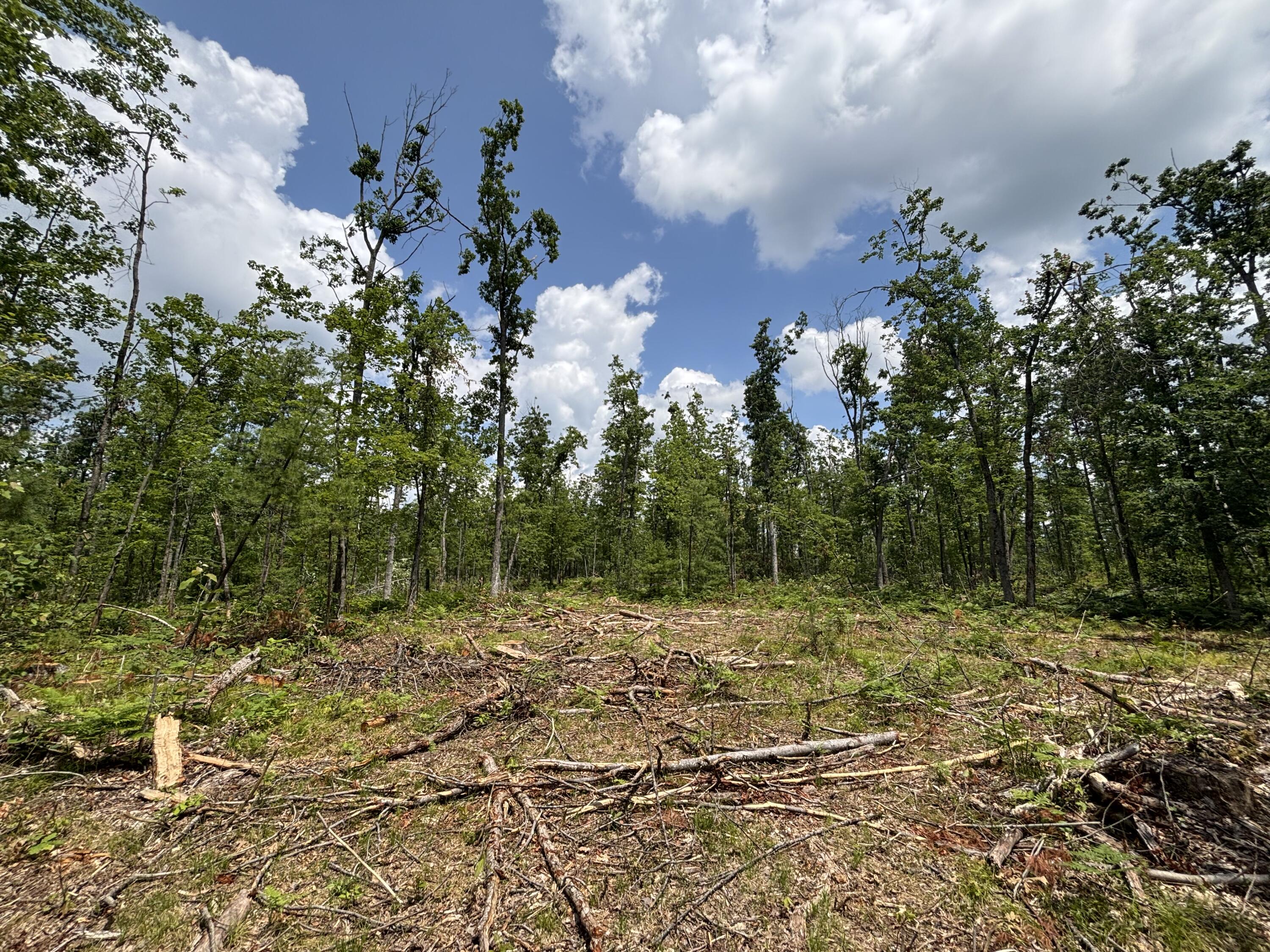 10.83 A Meridian Line Road Johannesburg, MI 49751 - Photo 18 of 21 IMG_8292_2