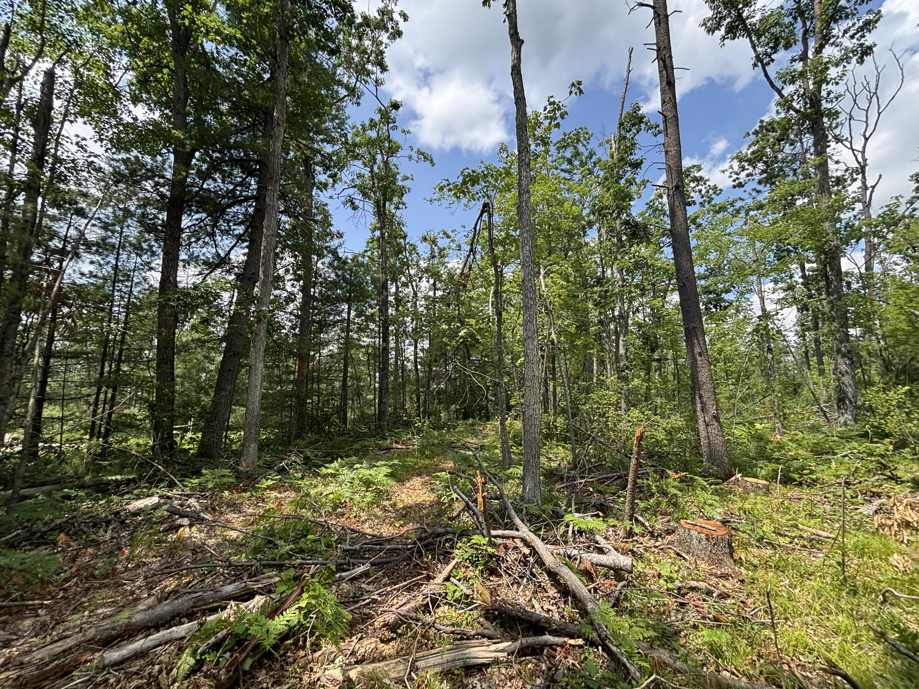 10.83 A Meridian Line Road Johannesburg, MI 49751 - Photo 19 of 21 IMG_8298_2