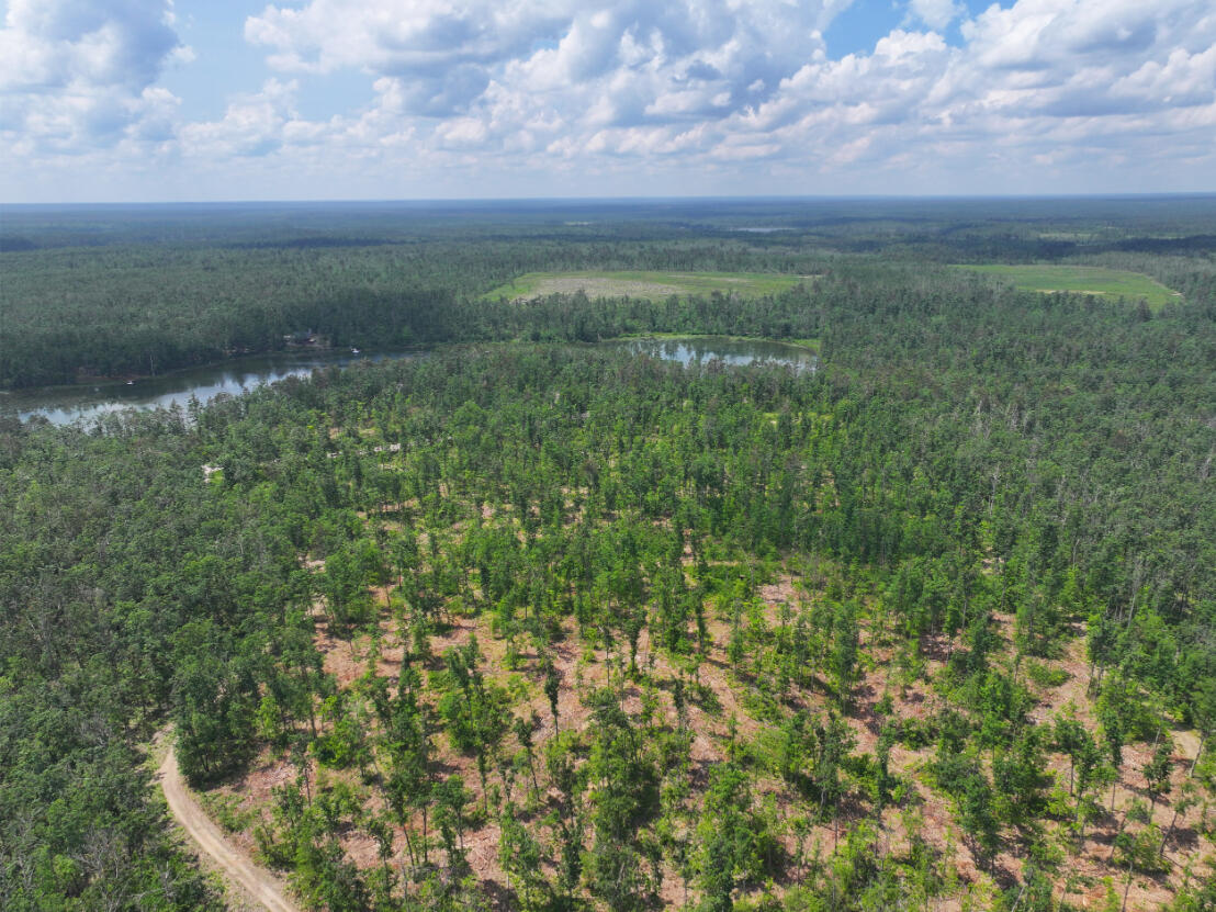10.83 A Meridian Line Road Johannesburg, MI 49751 - Photo 4 of 21 DJI_20250709141244_0803_D