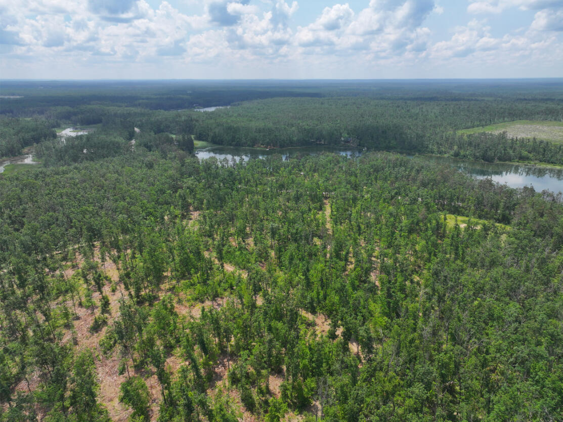 10.83 A Meridian Line Road Johannesburg, MI 49751 - Photo 5 of 21 DJI_20250709141306_0806_D