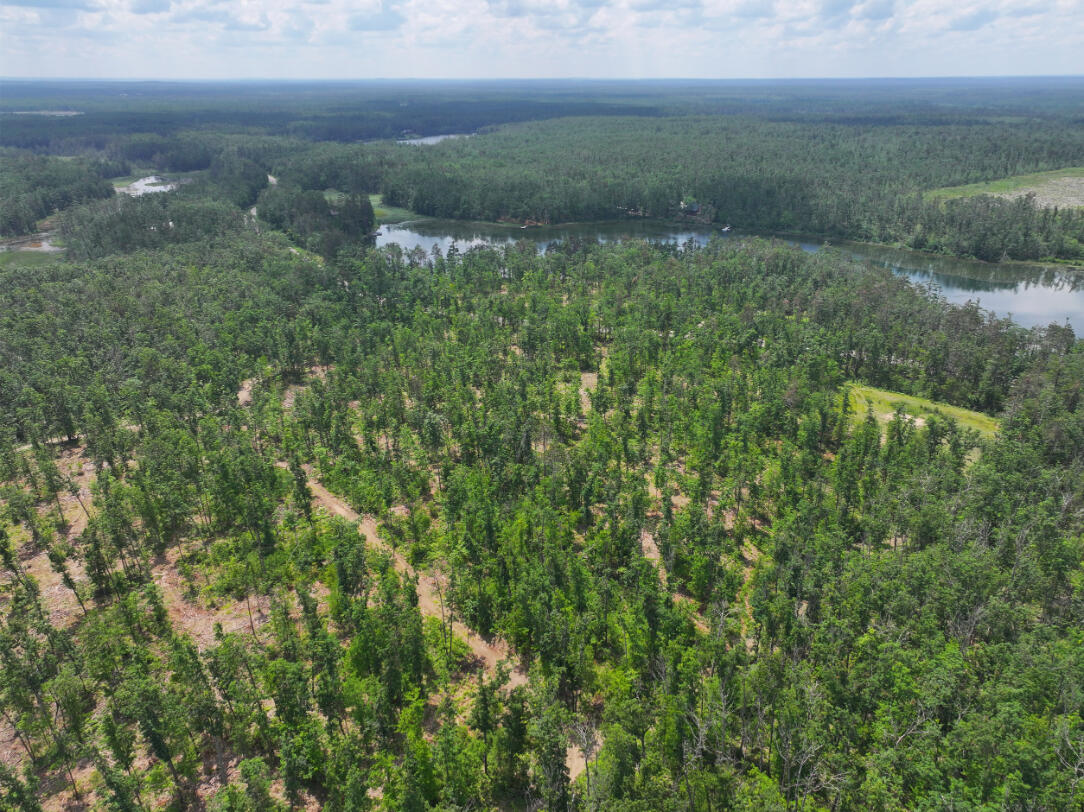 10.83 A Meridian Line Road Johannesburg, MI 49751 - Photo 6 of 21 DJI_20250709141310_0807_D