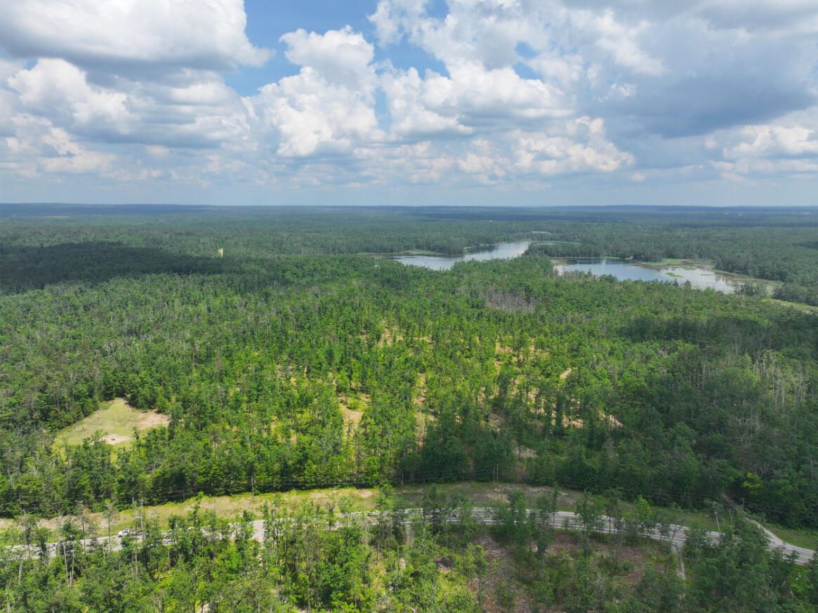 10.83 A Meridian Line Road Johannesburg, MI 49751 - Photo 7 of 21 DJI_20250709141429_0820_D