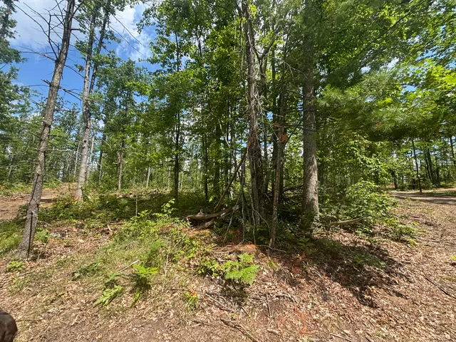 $49,900 | 10.83 A Meridian Line Road, Johannesburg, MI 49751