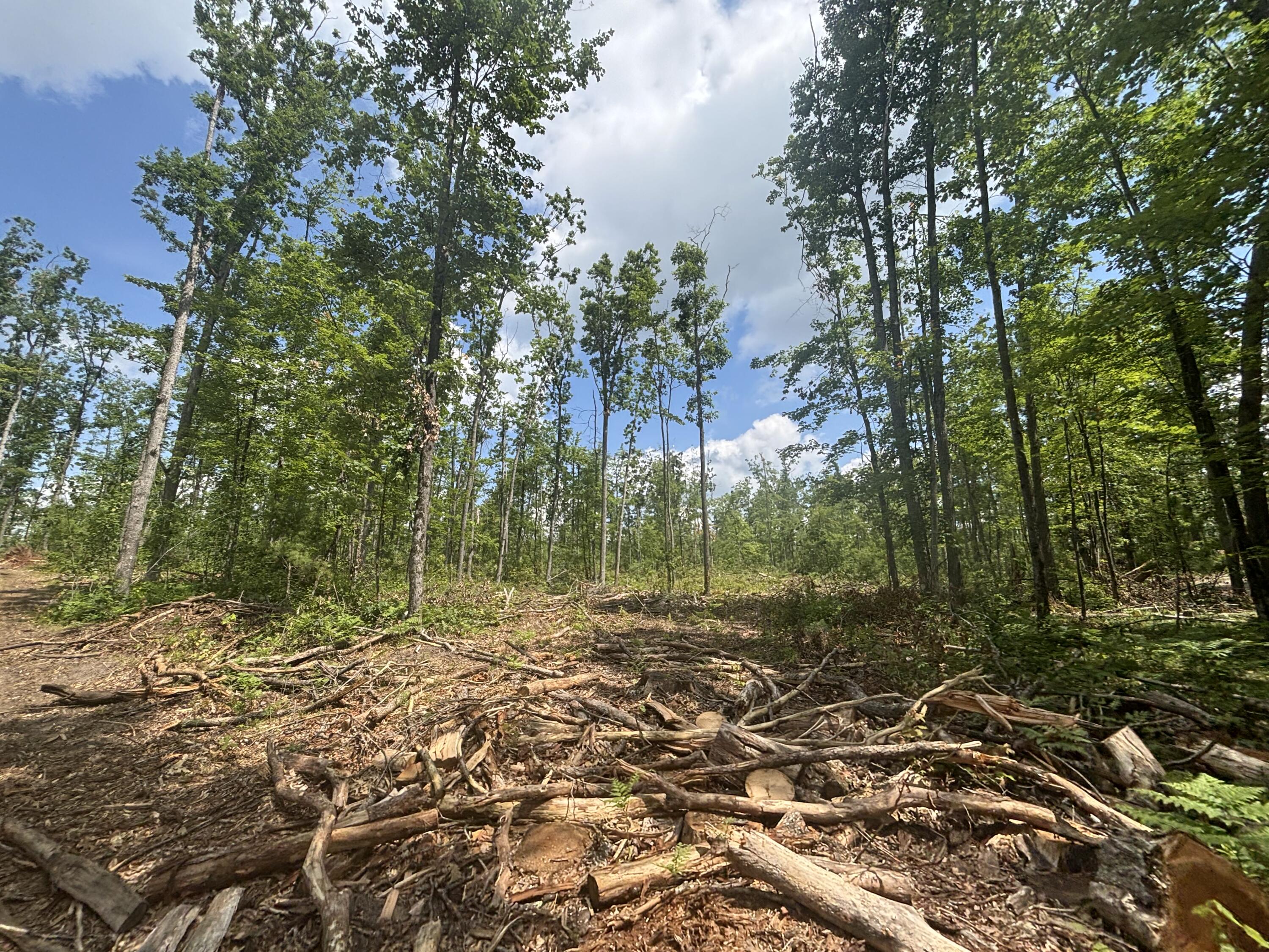 10.83 A Meridian Line Road Johannesburg, MI 49751 - Photo 9 of 21 IMG_8253_2