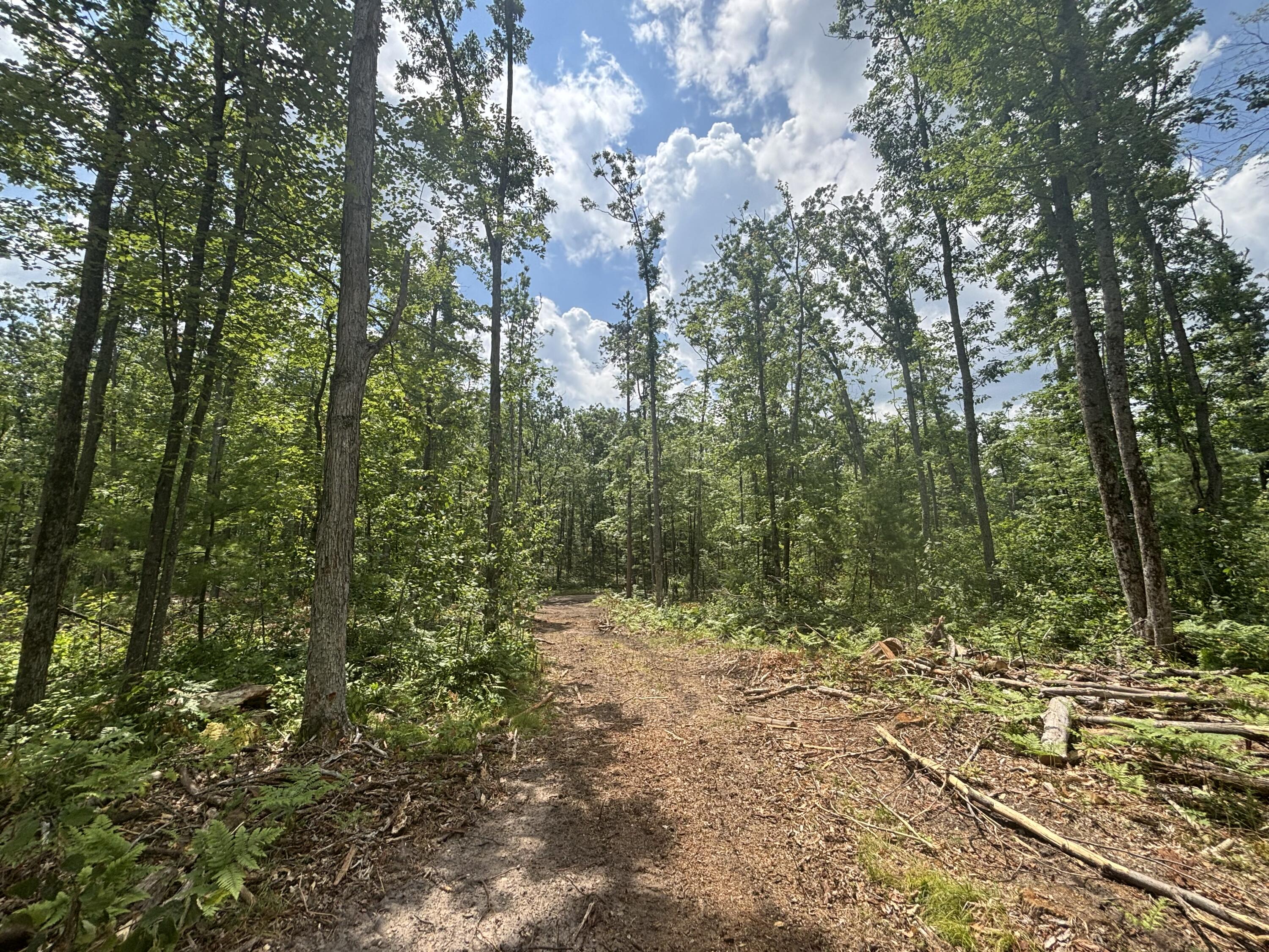 10.83 A Meridian Line Road Johannesburg, MI 49751 - Photo 10 of 21 IMG_8257_2