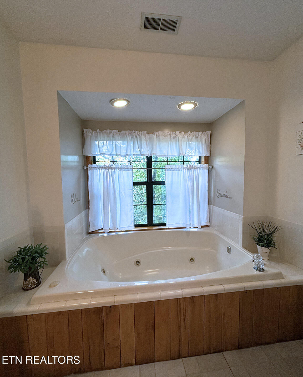 3046 Walters Way Sevierville, TN 37862 - Photo 15 of 20 15