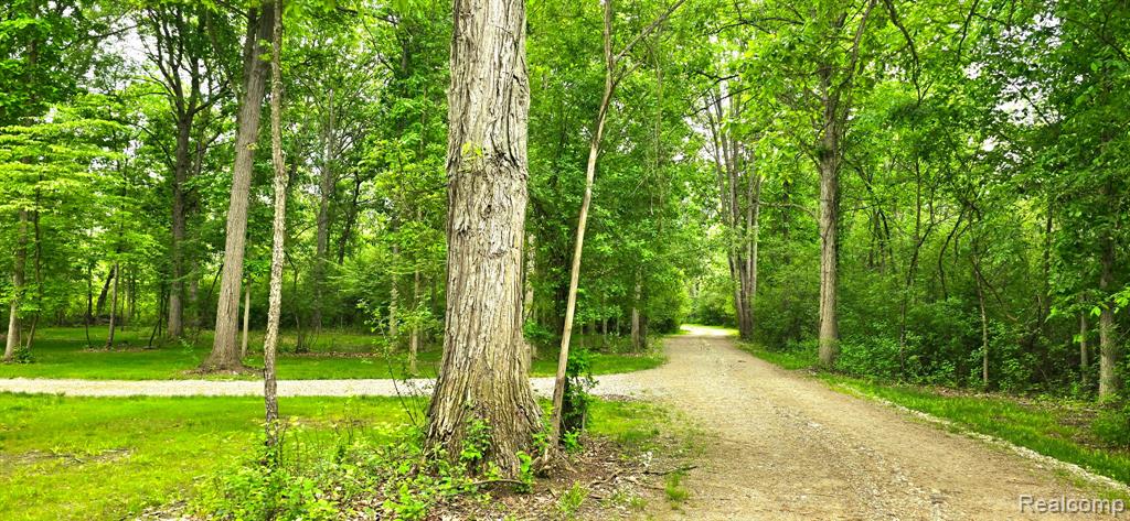 3483 Windwheel Point Drive Pinckney, MI 48169 - Photo 74 of 99