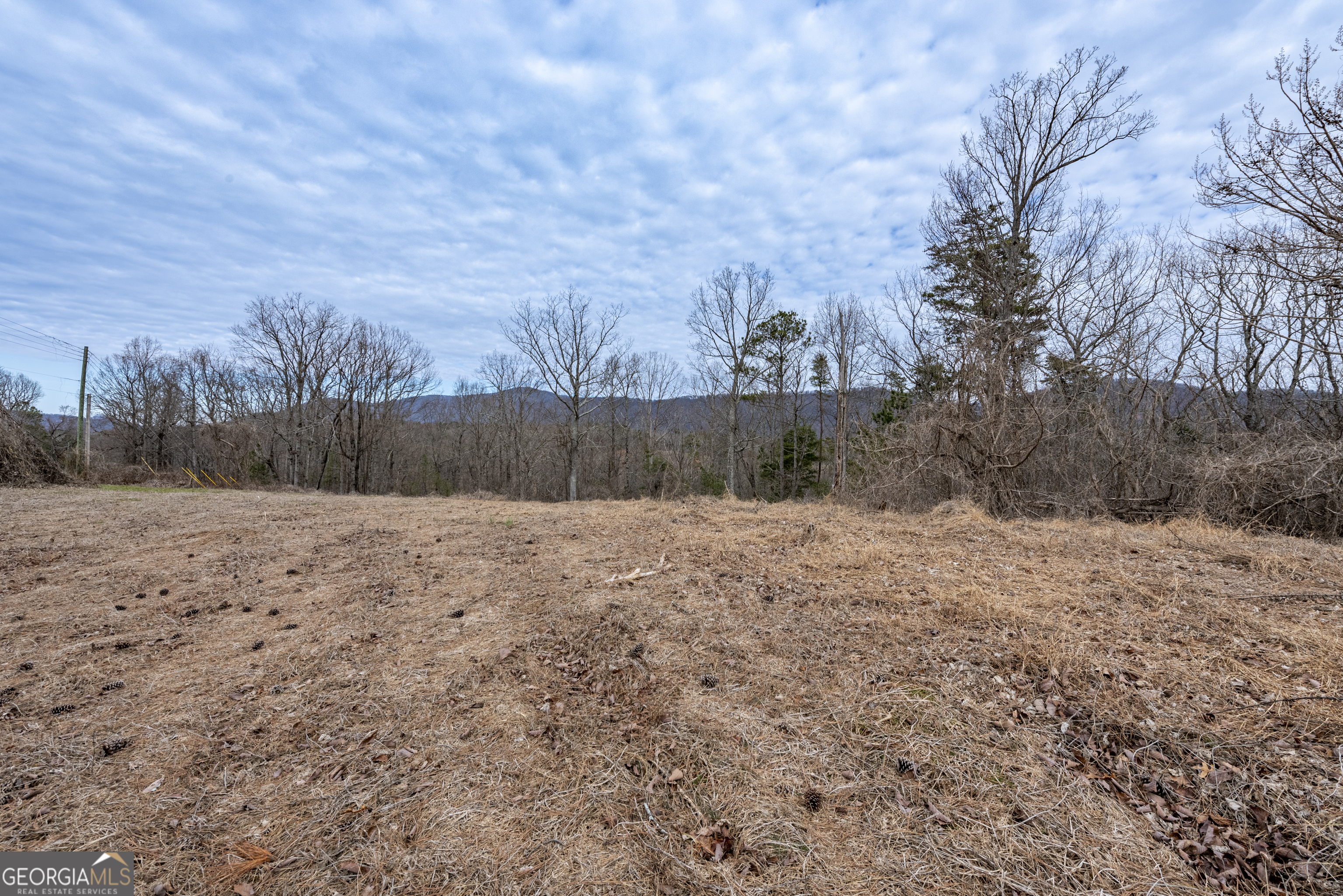 0 Cowart Mountain Tract 2 Road Jasper, GA 30143 - Photo 11 of 19