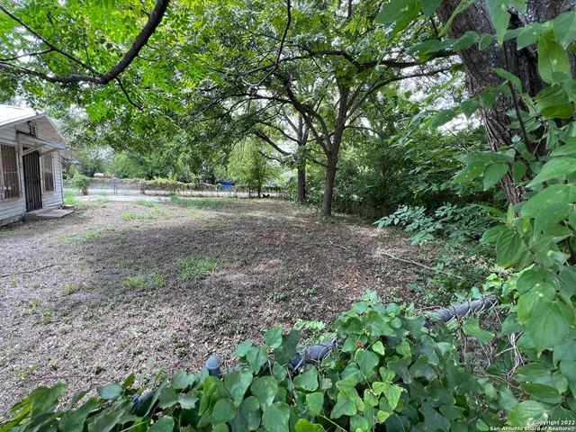a view of backyard with green space