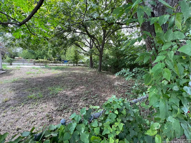 a view of outdoor space with trees