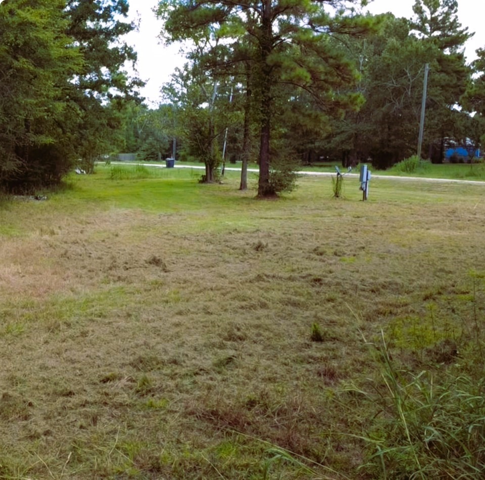 278 Reggie Lane Trinity, TX 75862 - Photo 11 of 14 a view of park