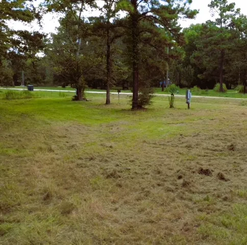 a view of a yard with a trees