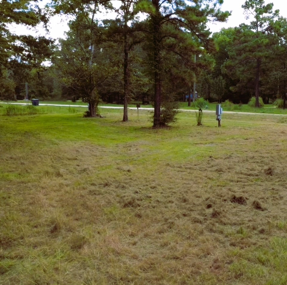 278 Reggie Lane Trinity, TX 75862 - Photo 13 of 14 a view of park with trees