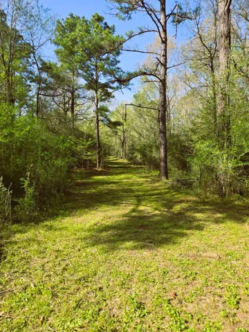 $91,000 | 278 Reggie Lane, Trinity, TX 75862