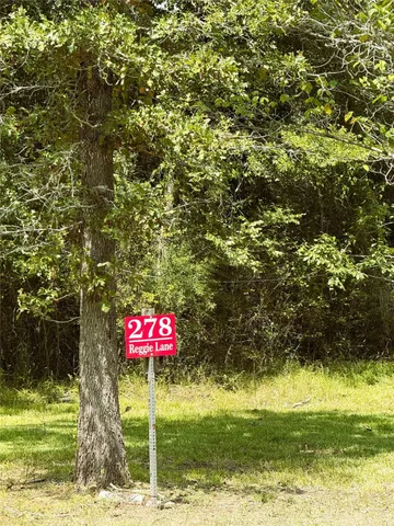 a view of a trees with a yard