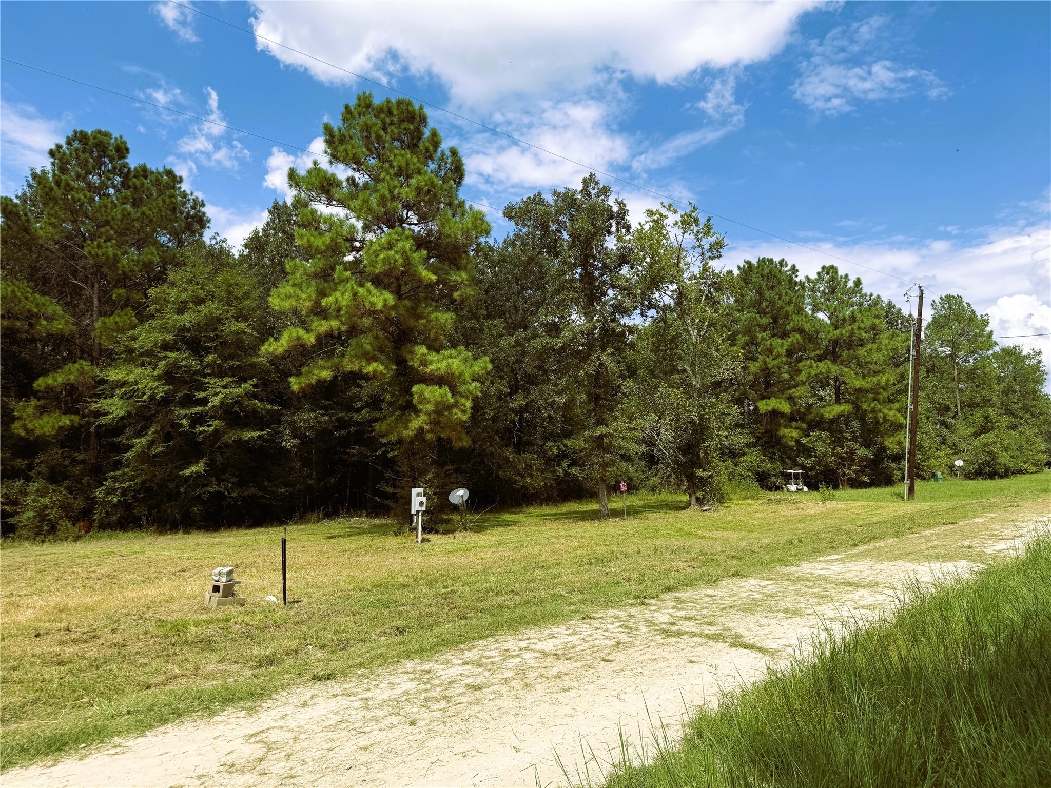 278 Reggie Lane Trinity, TX 75862 - Photo 4 of 14 a view of a field with an trees