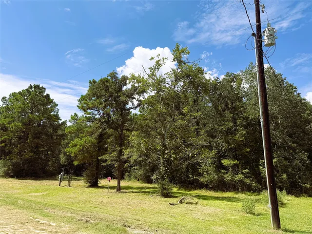 a view of swimming pool with yard