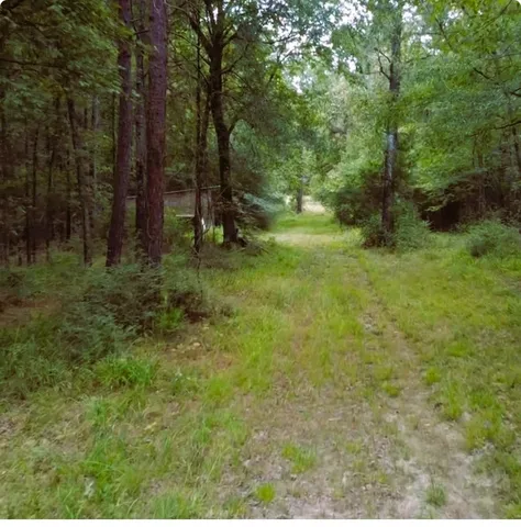 a view of outdoor space and green space