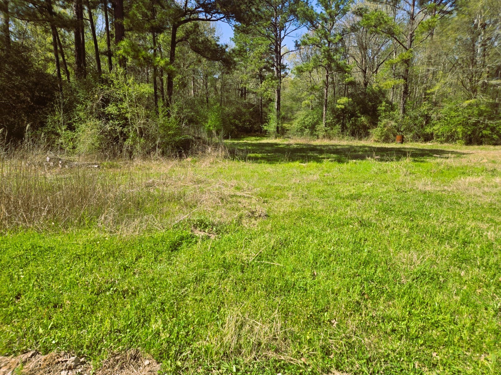 278 Reggie Lane Trinity, TX 75862 - Photo 7 of 14 a view of outdoor space and yard