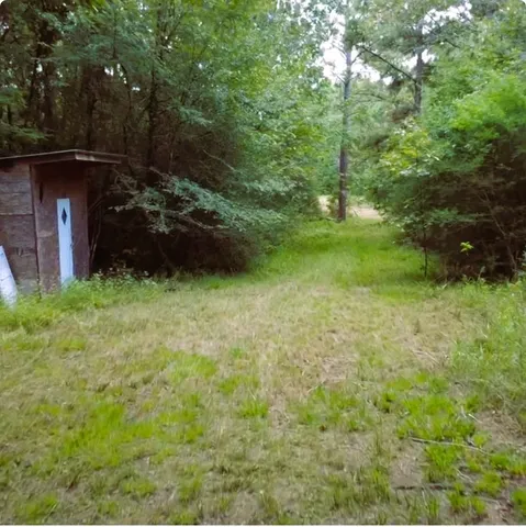 a big yard with lots of green space and plants