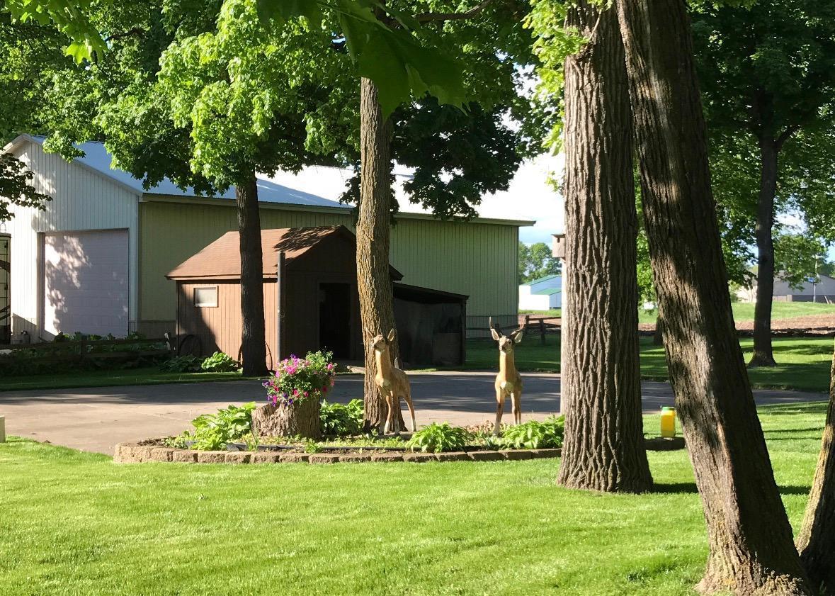 32878 Spunk Tree Circle Avon, MN 56310 - Photo 37 of 40