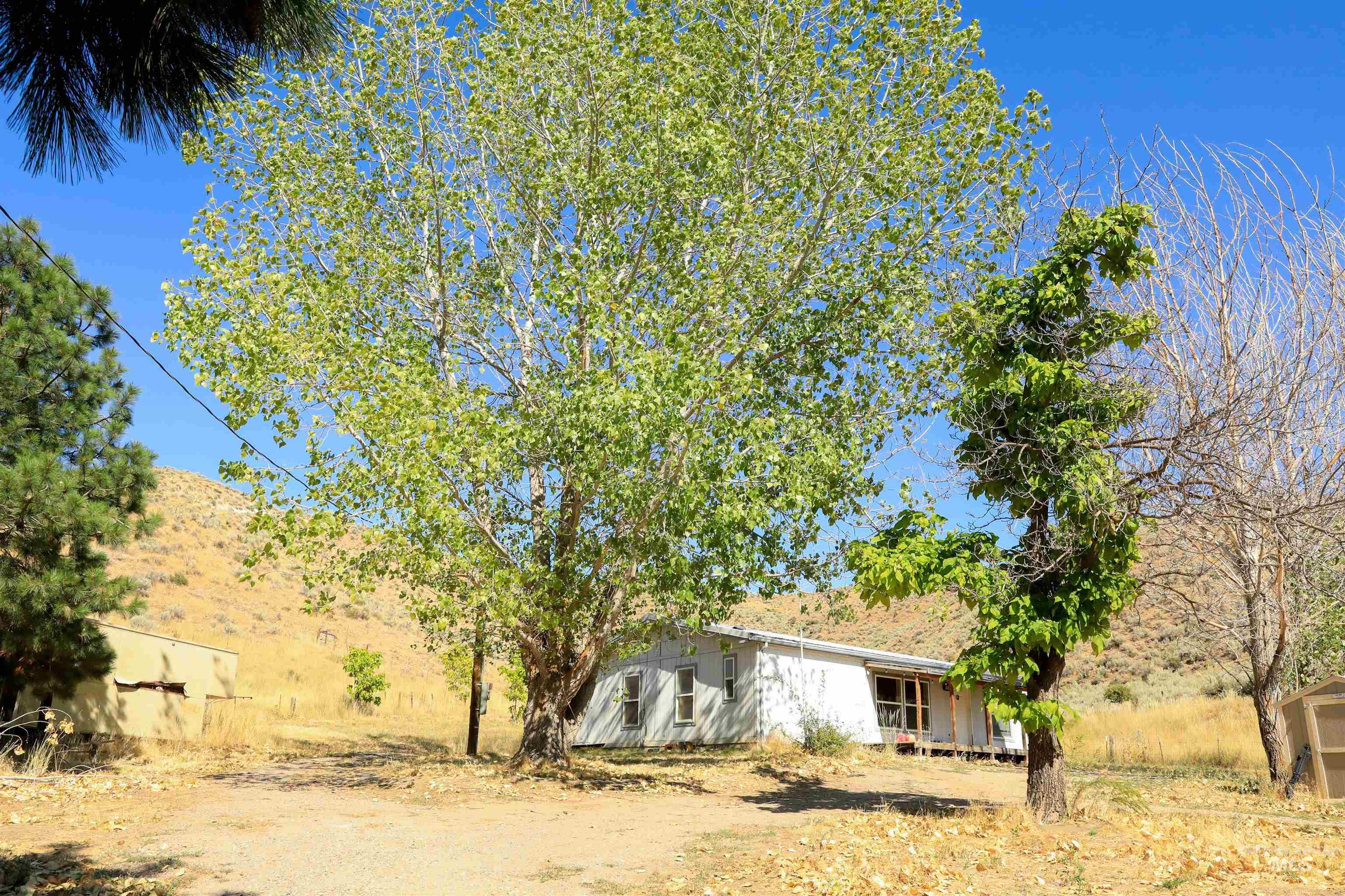 1550 Thousand Springs Road Weiser, ID 83672 - Photo 31 of 42 Rear view of property
