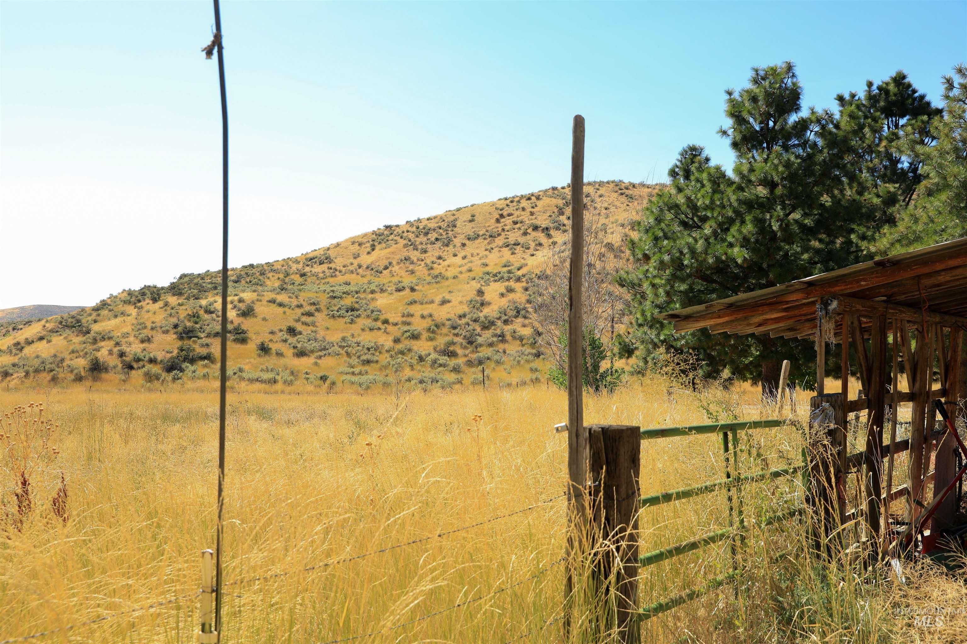 1550 Thousand Springs Road Weiser, ID 83672 - Photo 32 of 42 View of yard featuring a mountain view and a view of rural / pastoral area