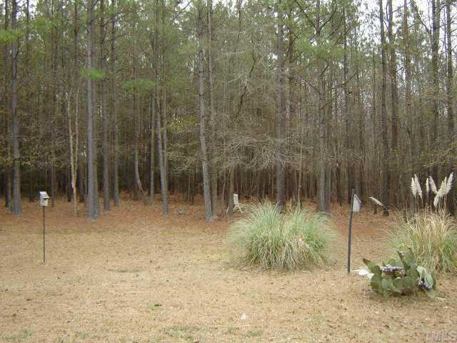 127 Plantation Road Clayton, NC 27520 - Photo 3 of 9 Other