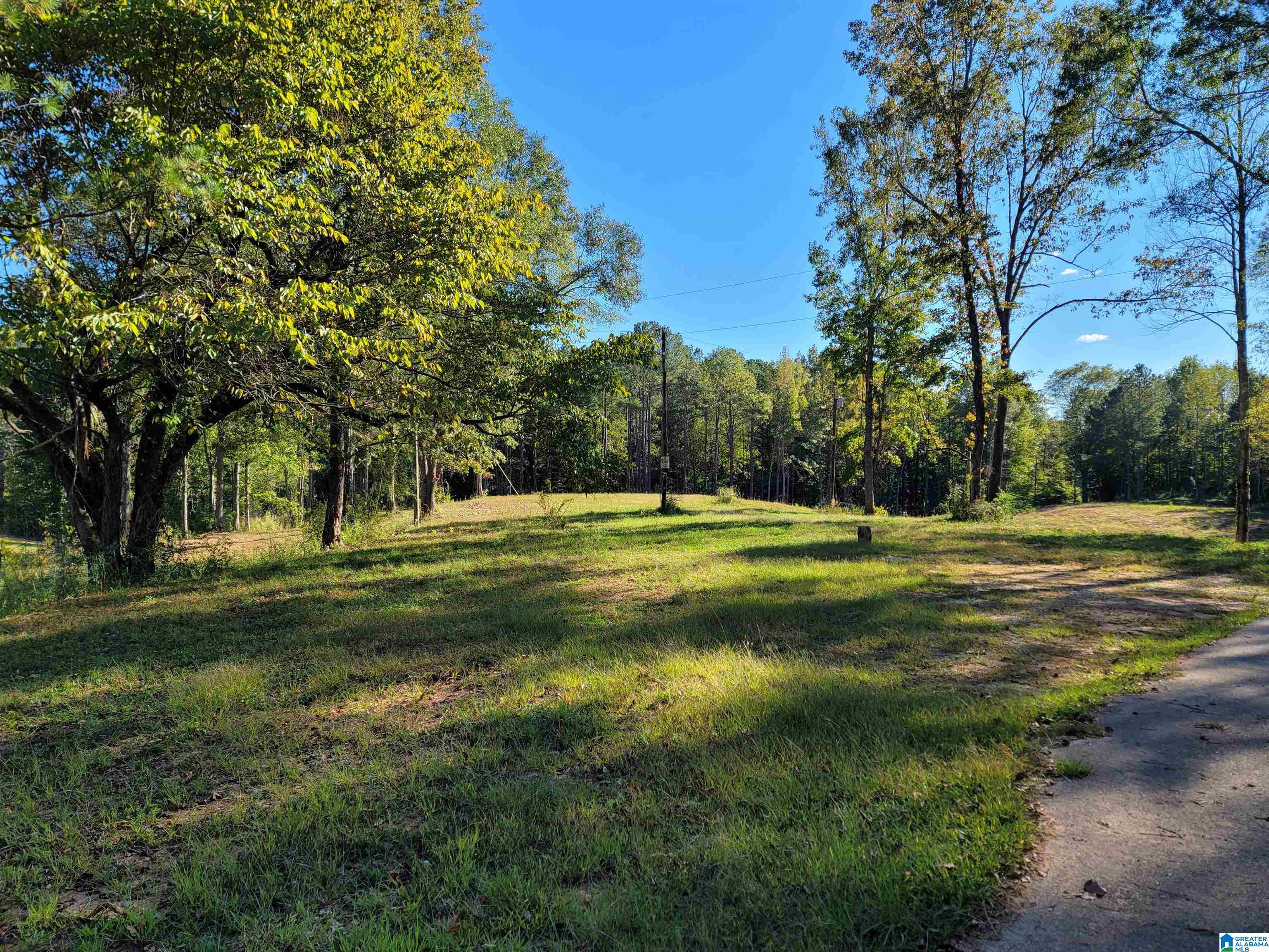 690 Tumblin Mill Road, Unit 4 ACRES Heflin, AL 36264 - Photo 5 of 6