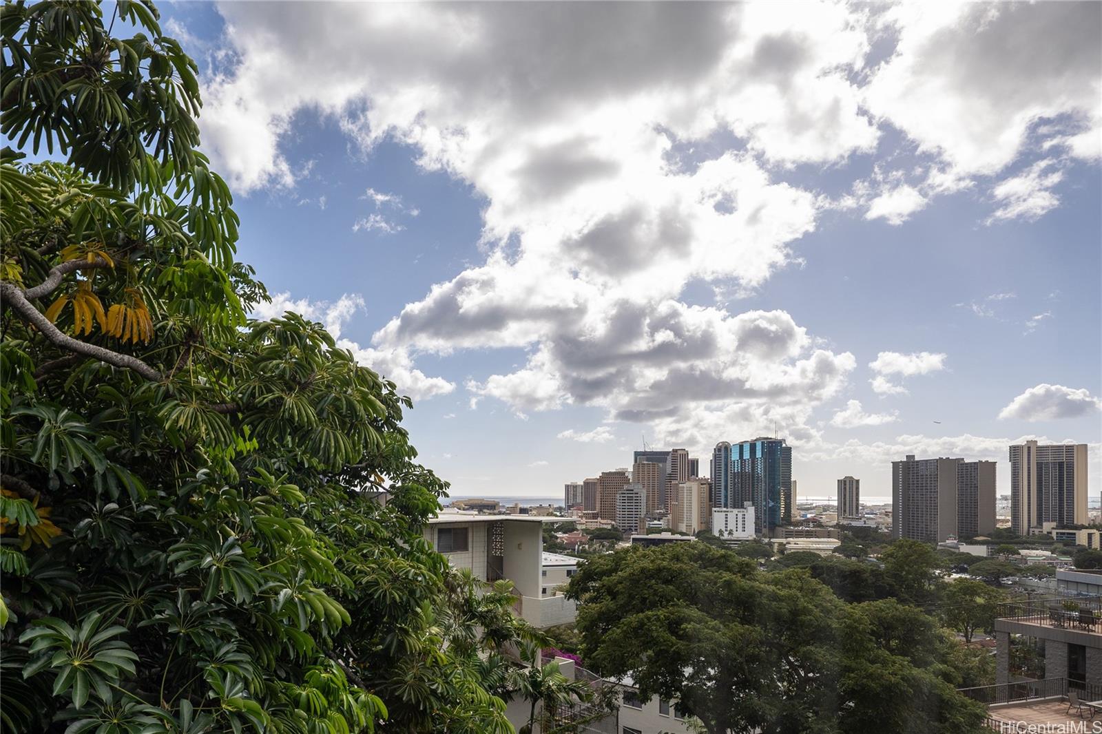217 Prospect Street, Unit M1 Honolulu, HI 96813 - Photo 5 of 15