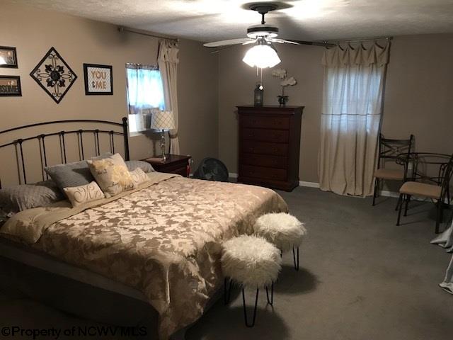 36 Graham Street Reedsville, WV 26547 - Photo 6 of 11 Gallery Image 6