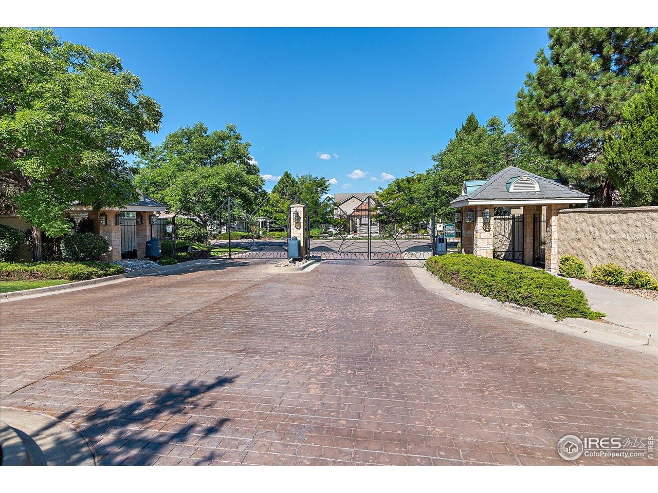 a view of a house with a yard and potted plants
