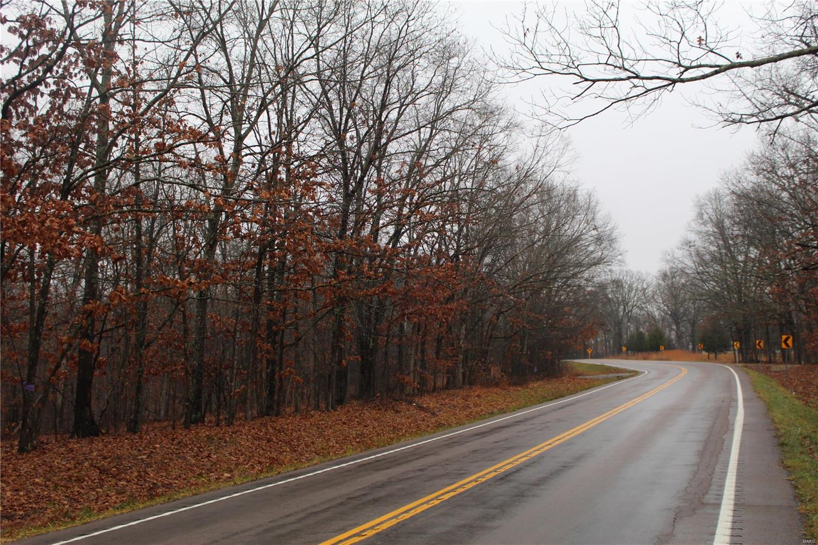 0 Highway 51 N Marble Hl