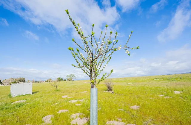 $295,000 | 50255 Adobe Place, Bradley, CA 93426