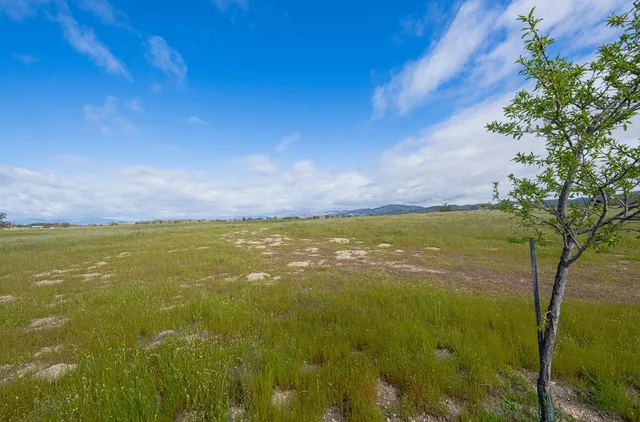 $295,000 | 50255 Adobe Place, Bradley, CA 93426