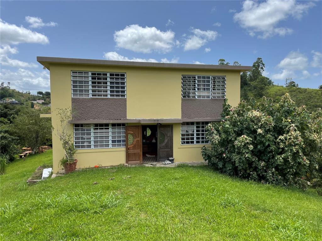 7780 Carr Comerio, Comerío 00782 - Photo 1 of 1 a view of a house with a garden and yard