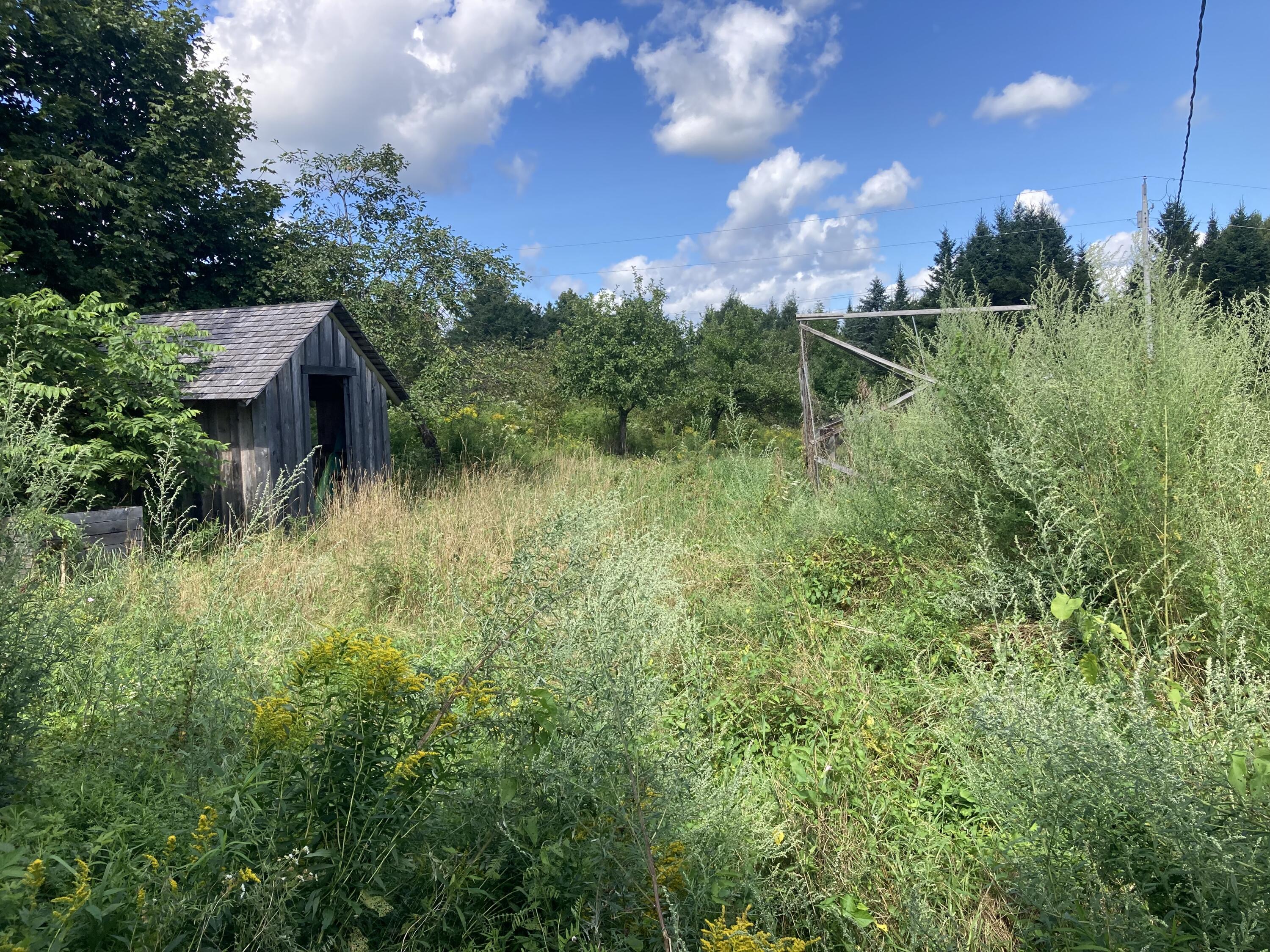 129 Stovepipe Alley Road Monroe, ME 04951 - Photo 41 of 60 IMG_3711