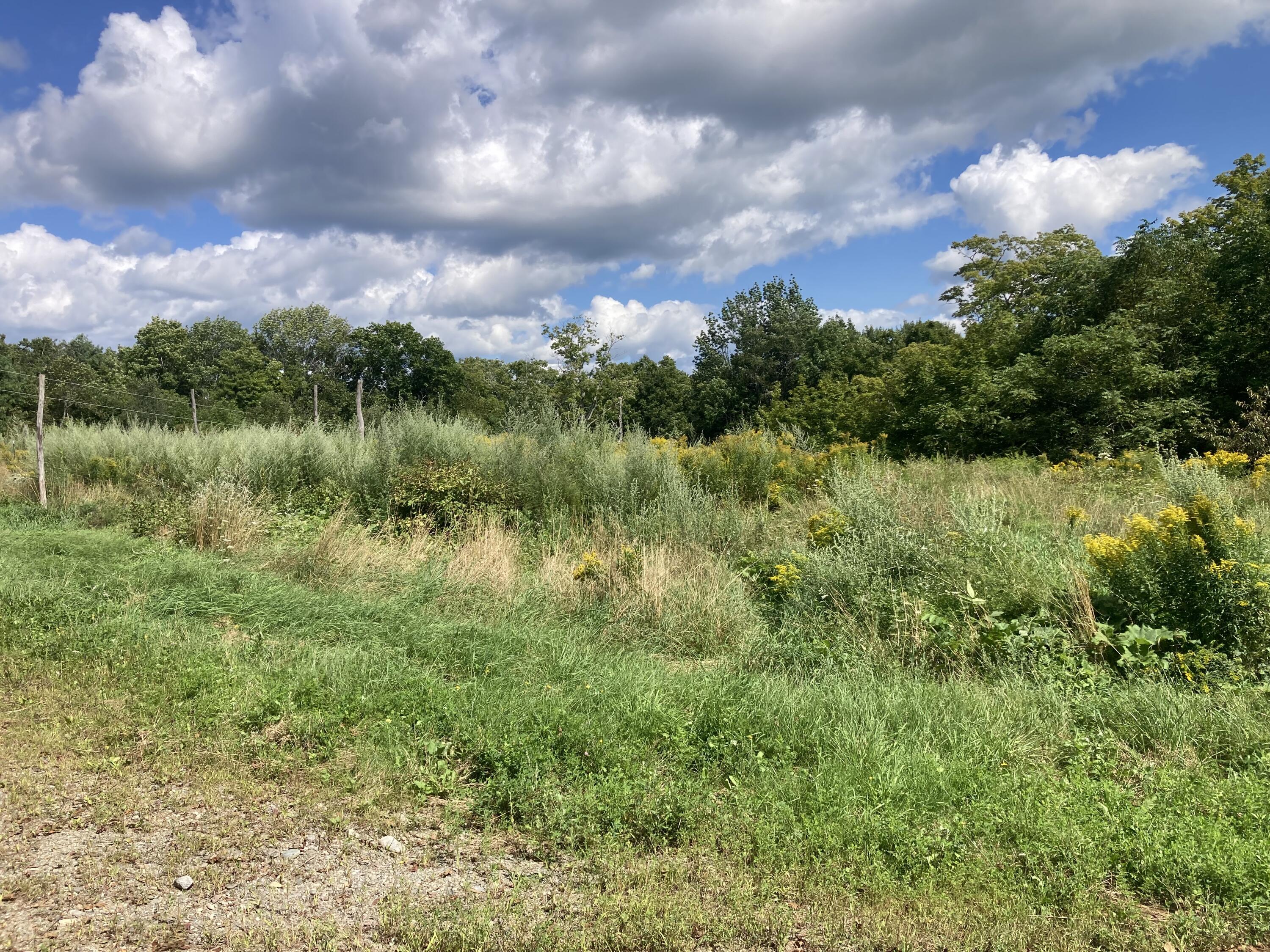 129 Stovepipe Alley Road Monroe, ME 04951 - Photo 54 of 60 IMG_3698