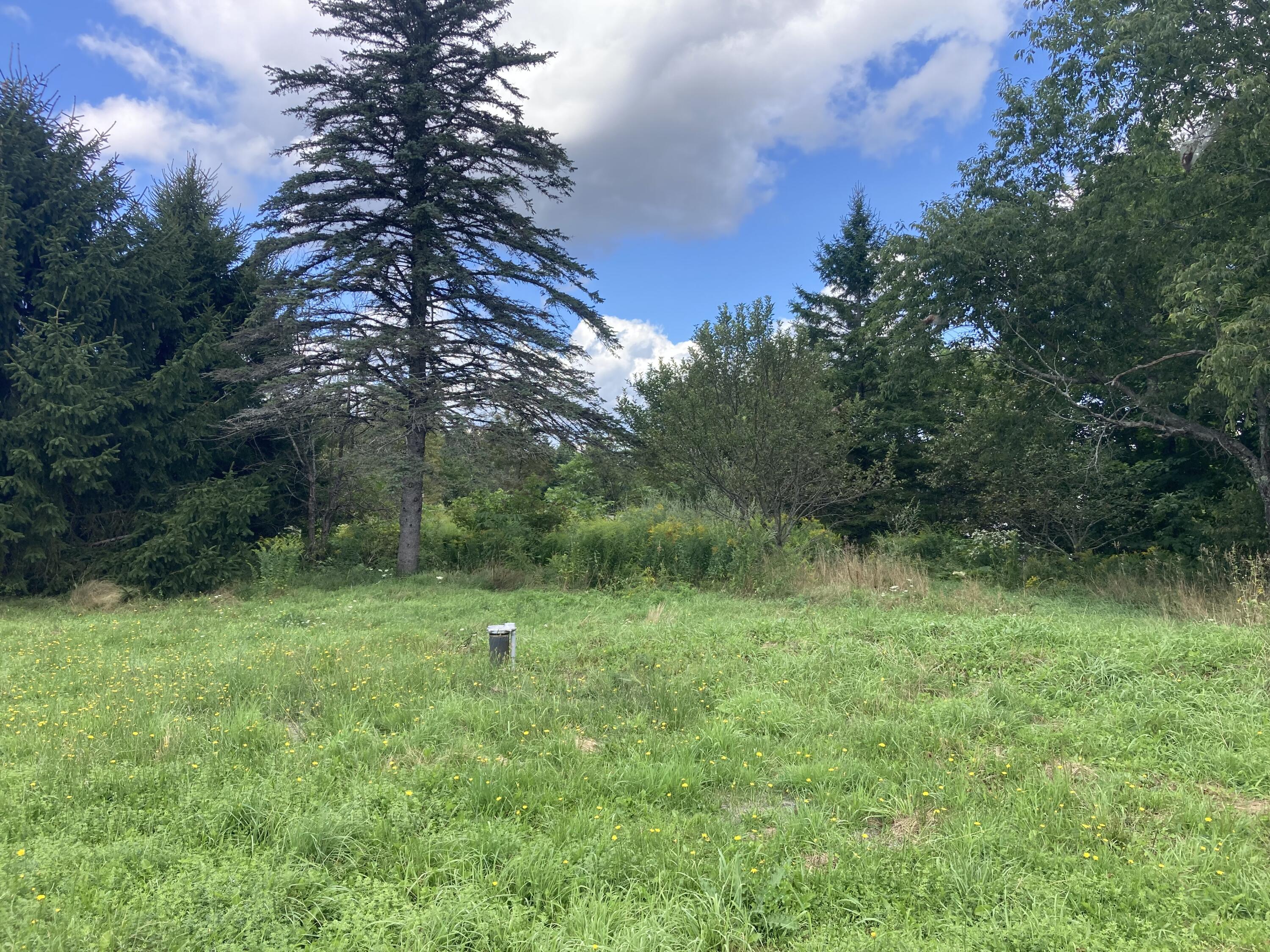 129 Stovepipe Alley Road Monroe, ME 04951 - Photo 55 of 60 IMG_3657